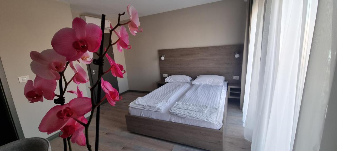 Pensiunea Normandia Timişoara Extérieur photo