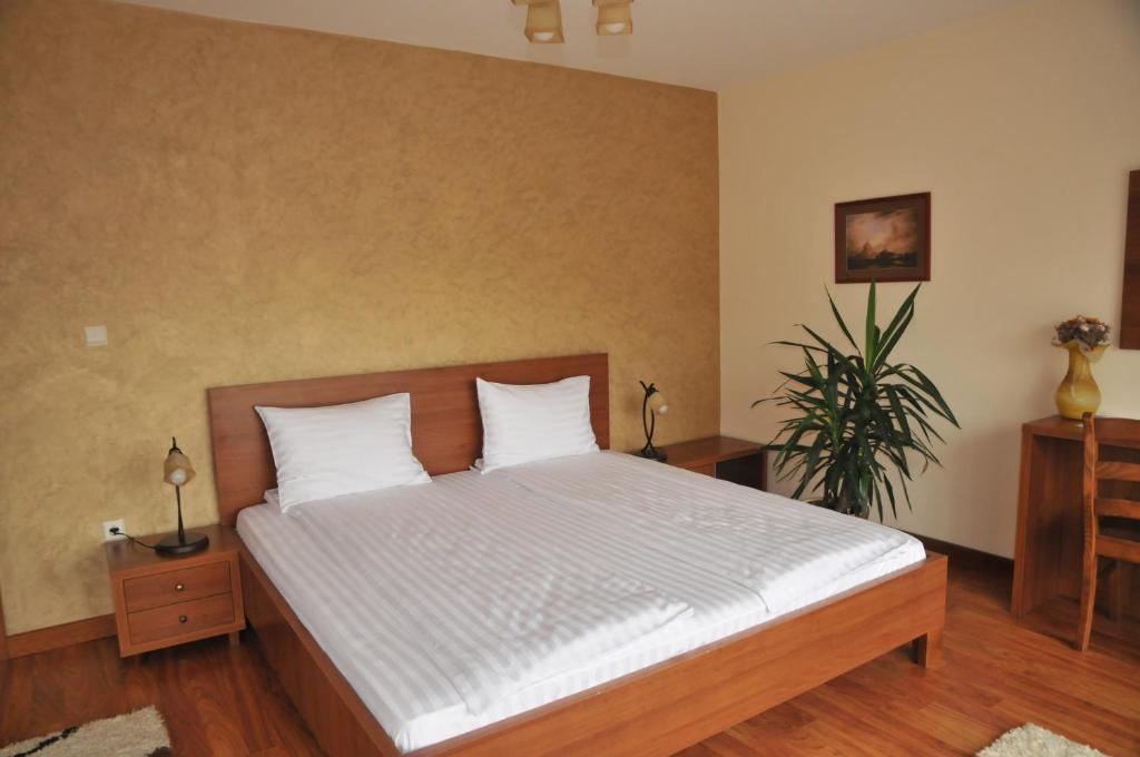 Pensiunea Normandia Timişoara Extérieur photo