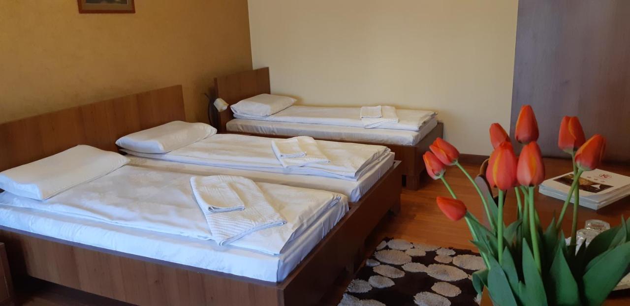 Pensiunea Normandia Timişoara Extérieur photo